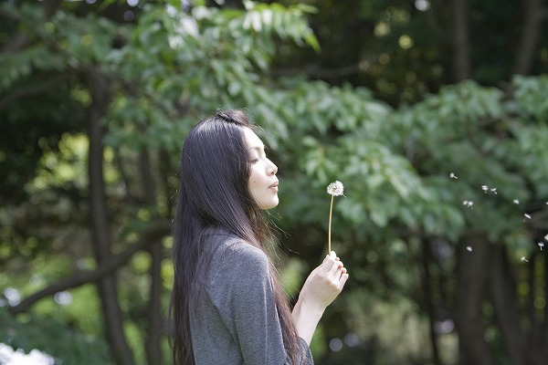 綿毛 たんぽぽ 清楚 ひとり 日本人の女性｜m020700